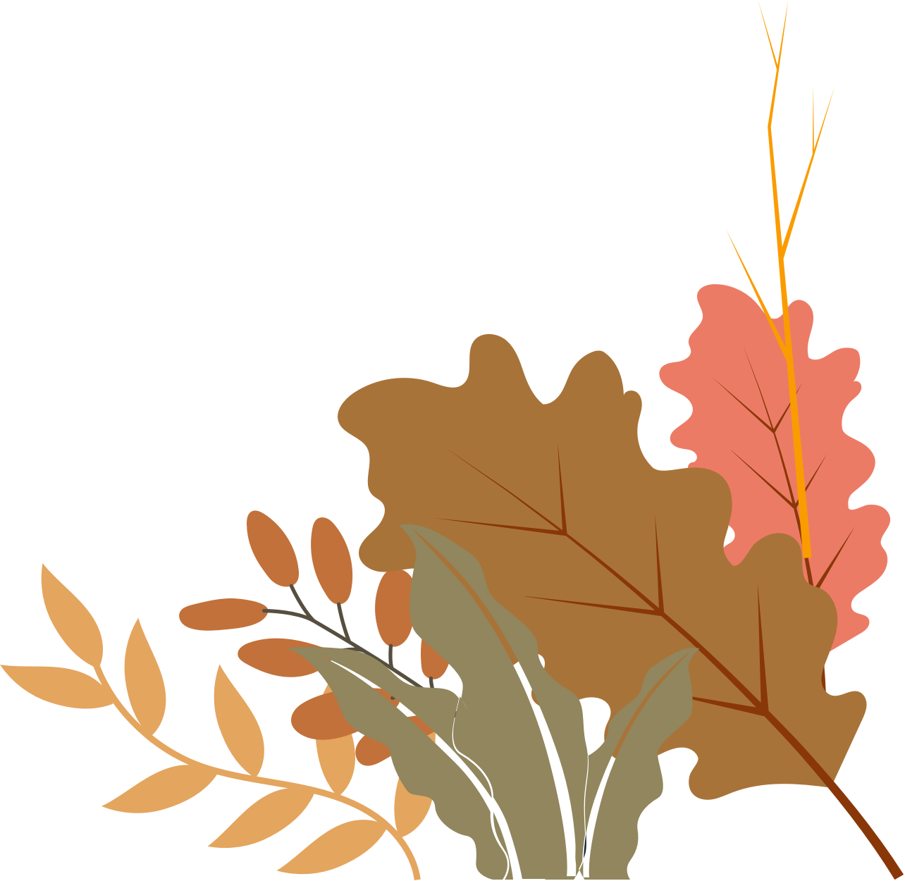 plant img