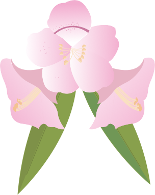 flower img
