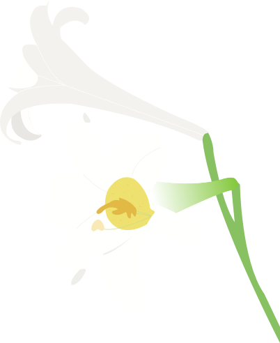 flower img