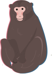 animale img
