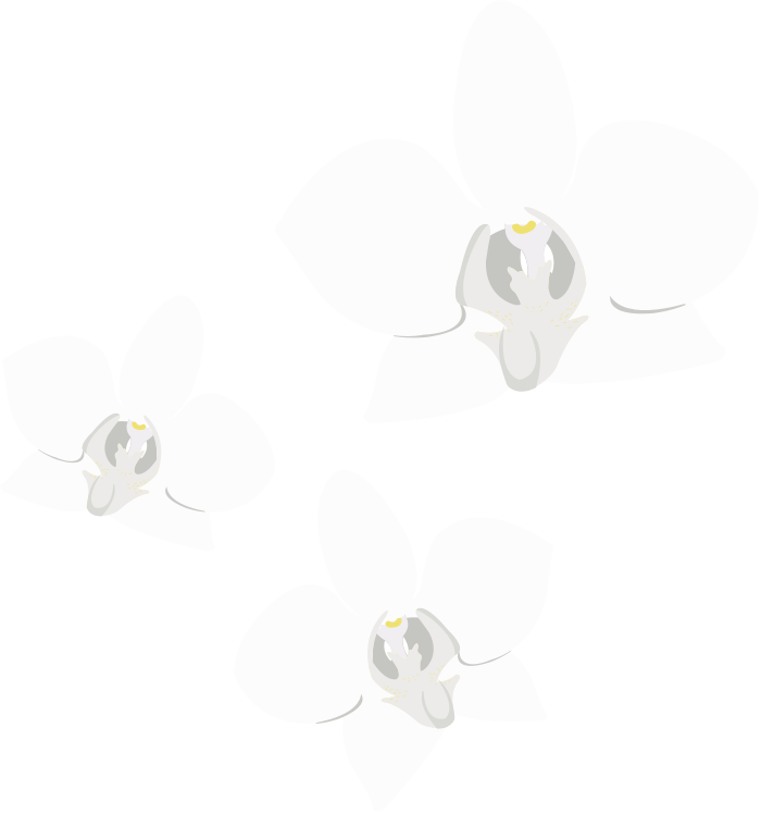 flower img