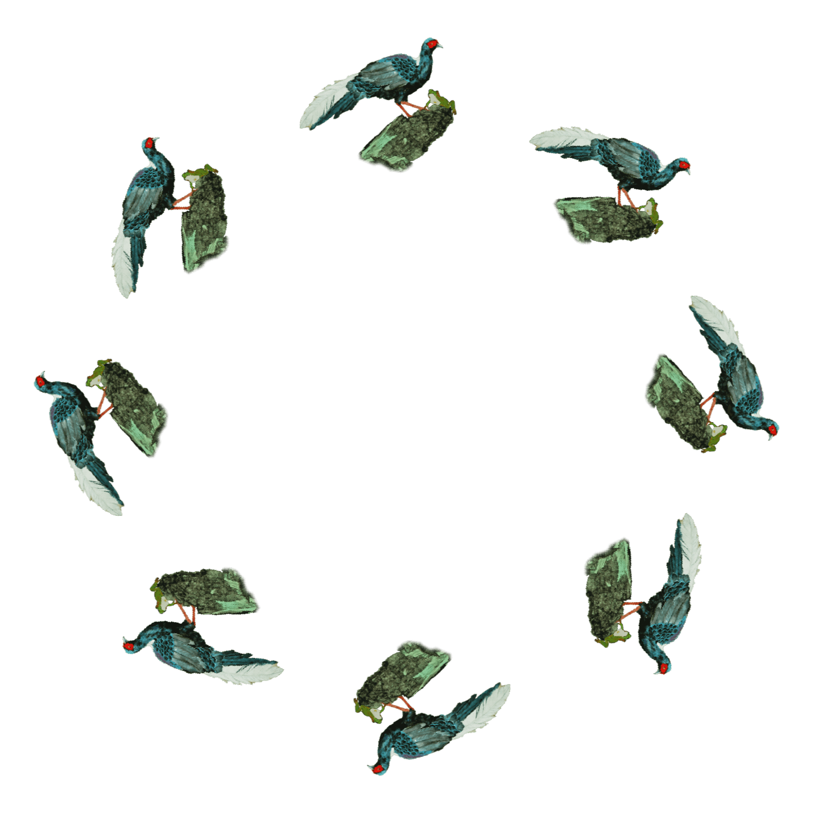 Asset_1
