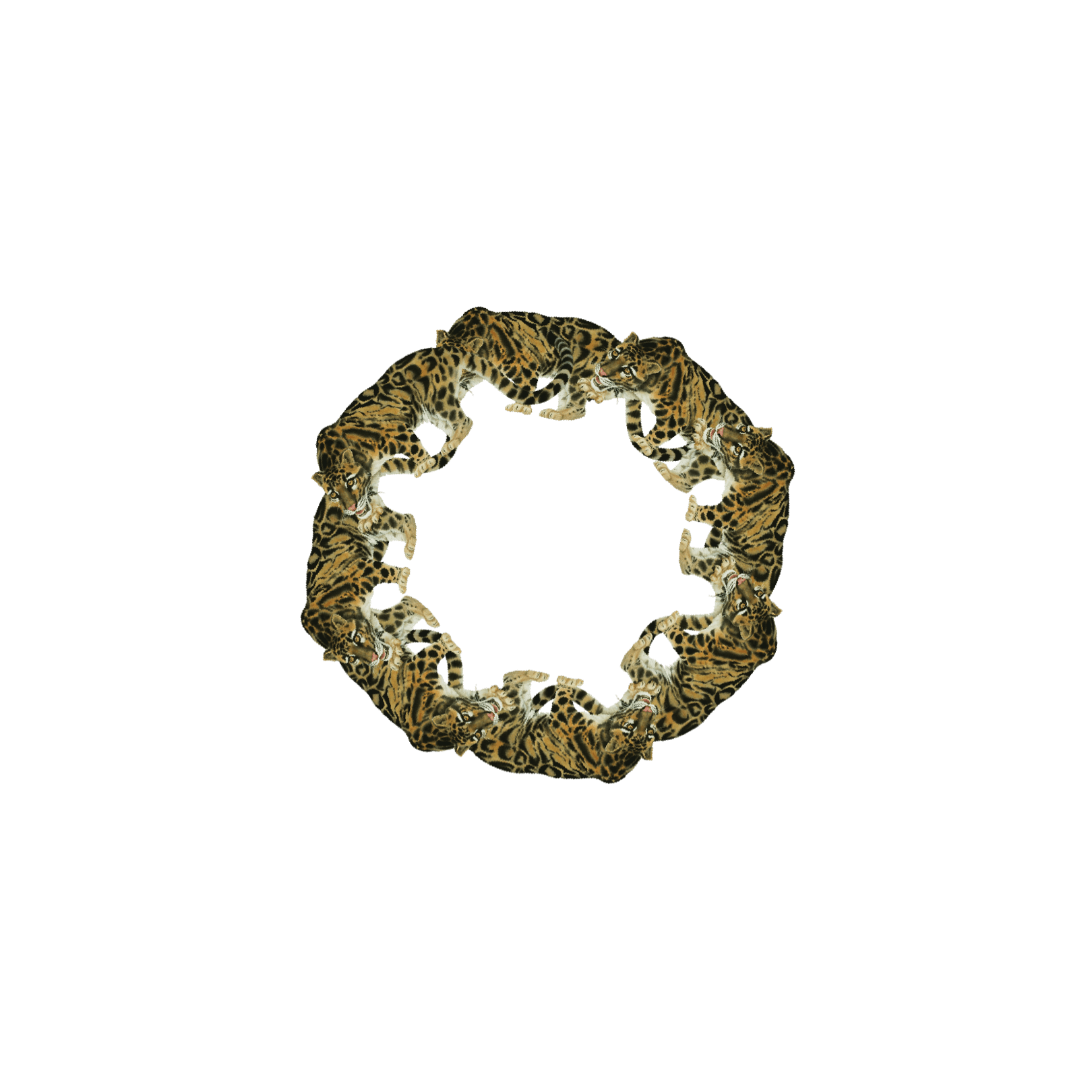 Asset_4