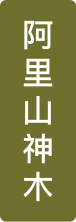 阿里山神木