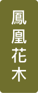 鳳凰花木